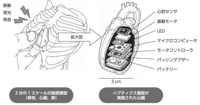 胸部模型と、振動モータ・LED・マイクロコンピュータを組み込んだ心臓模型の構成図